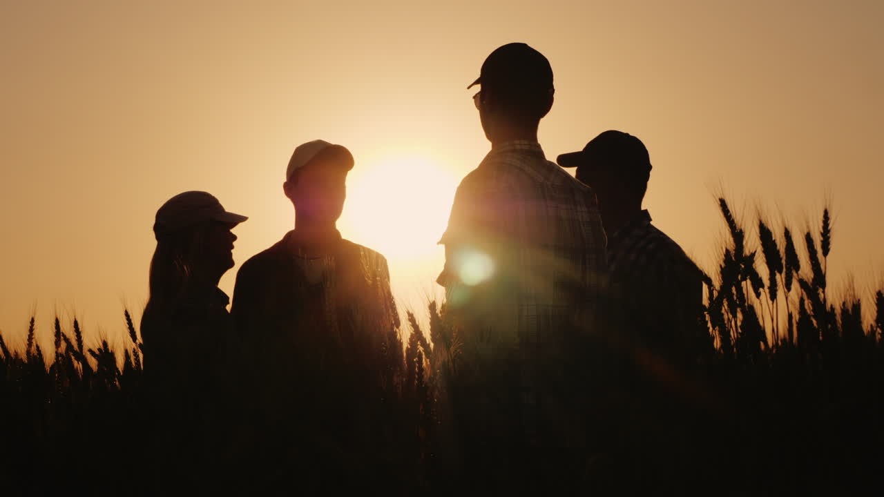A Team Of Successful Farmers Emotionally Congratulates Each Other Standing In A Wheat Field