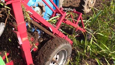 El-Equipo-Del-Tractor-Con-Dispositivo-De-Recolección-De-Ajo-Levanta-El-Cultivo-Del-Suelo.