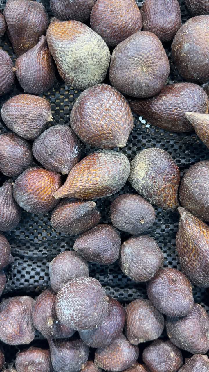Close-Up Panning Shot of Fresh Salak Snake Fruit
