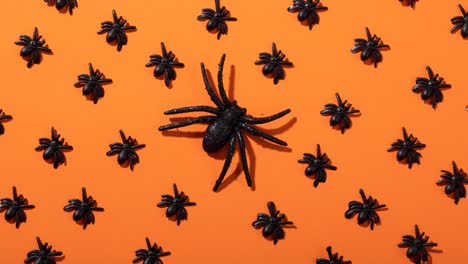 animation of spiders on orange background