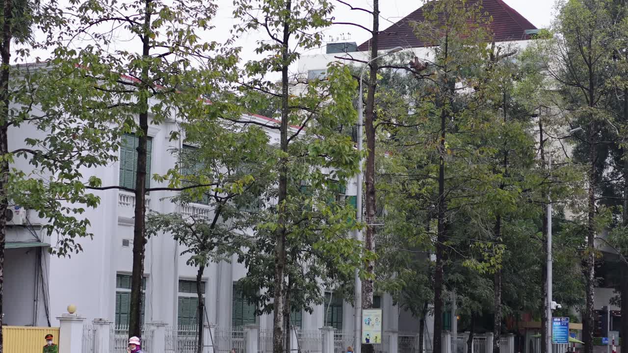 나무 와 건물 근처 에서 는 사람 들