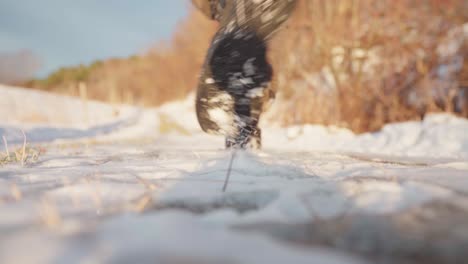 lone person trekking along snow-covered hiking trail surrounded by dried shrubbery - ground level fixed shot