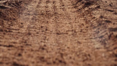 wheel tracks on a dusty outback road, oodnadatta track south australia