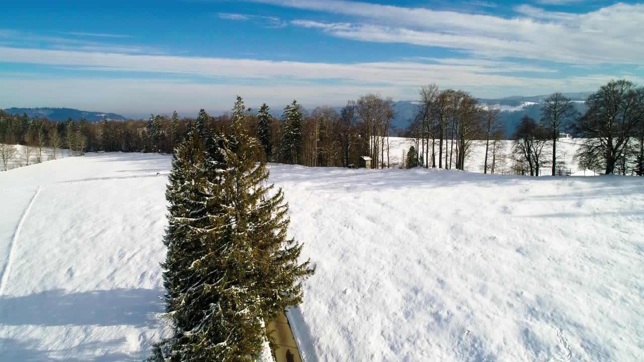 Krajobraz ze śniegiem