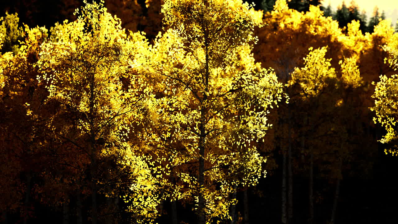 산에서 밝은 해가 지는 것