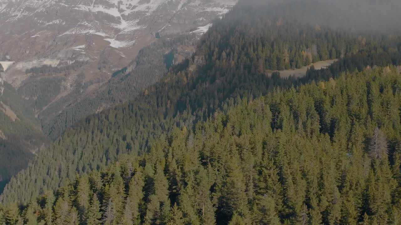 zoom aéreo giratorio sobre hermosos bosques de pinos verdes y exuberantes en las montañas suizas, suiza, con un panorama montañoso alpino épico y árboles que cubren las laderas de las montañas con nieve a gran altura