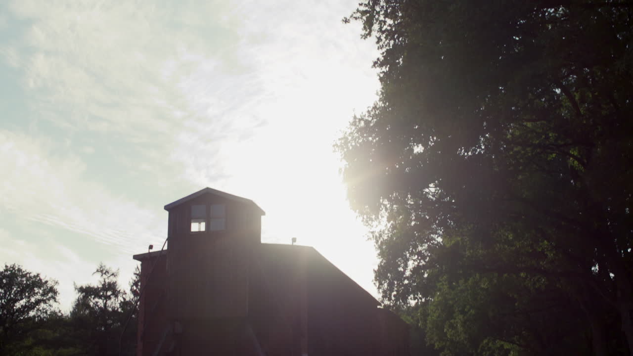 희생자를 수송하는 데 사용되는 철도화물 마차