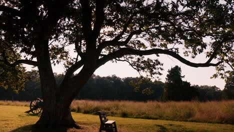 sliding shot of sunsetting bench tree grass and fields