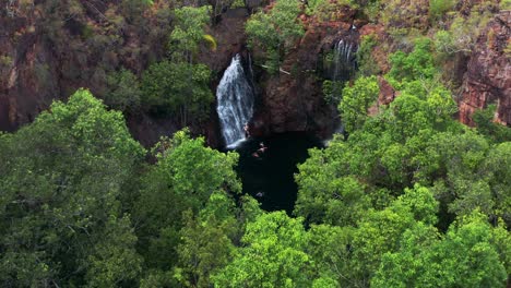 Zoom-out-Aerial-View-of-People-swimming-in-Florence-Falls-pool-in-Litchfield-National-Park,-NT---Australia