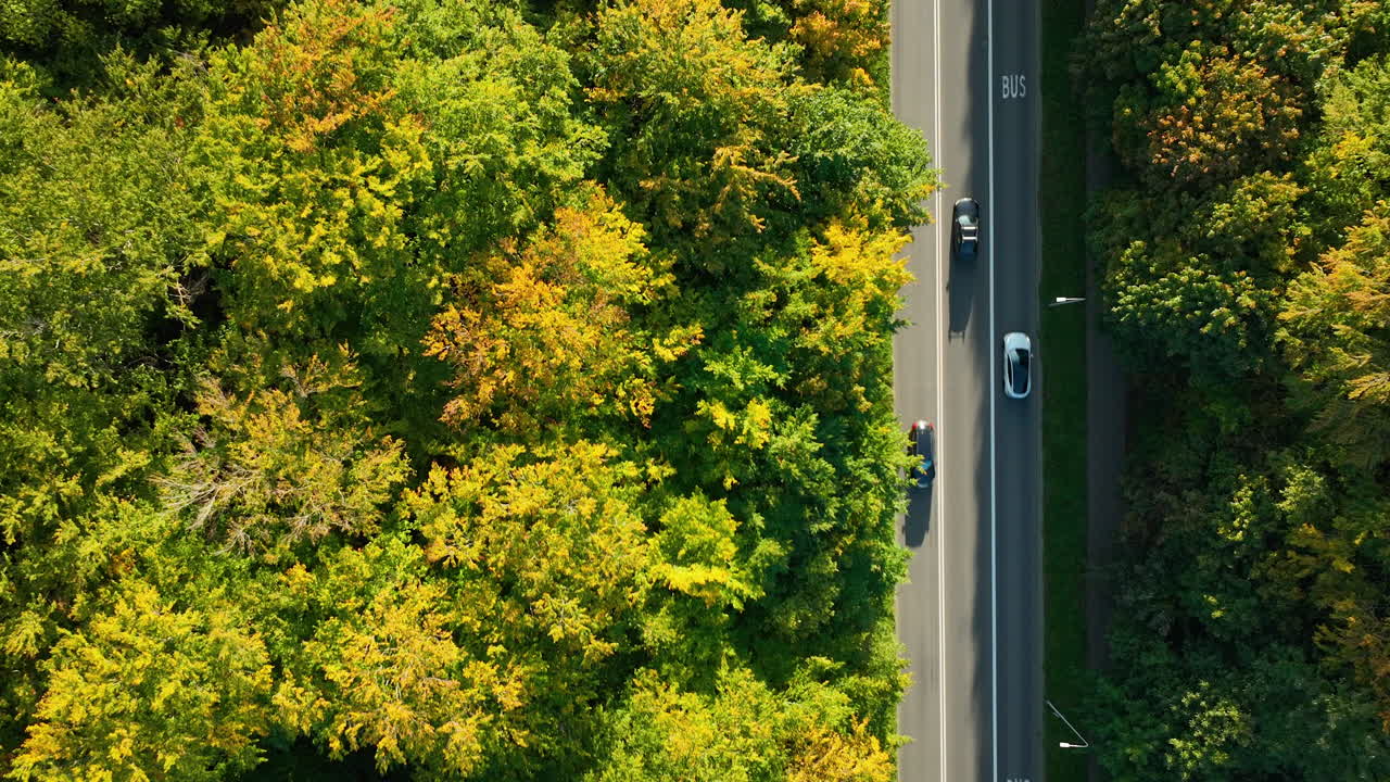 Car driving along a road bordered by vibrant autumn foliage, aerial perspective highlighting seasonal colors and forest texture