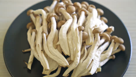 Seta de haya marrón fresca o hongo reishi negro en placa