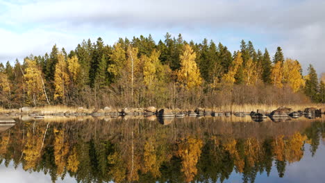 Bosque-Nórdico-Otoñal-Sobre-El-Agua-Con-Reflejo,-Disparado-Desde-Un-Barco