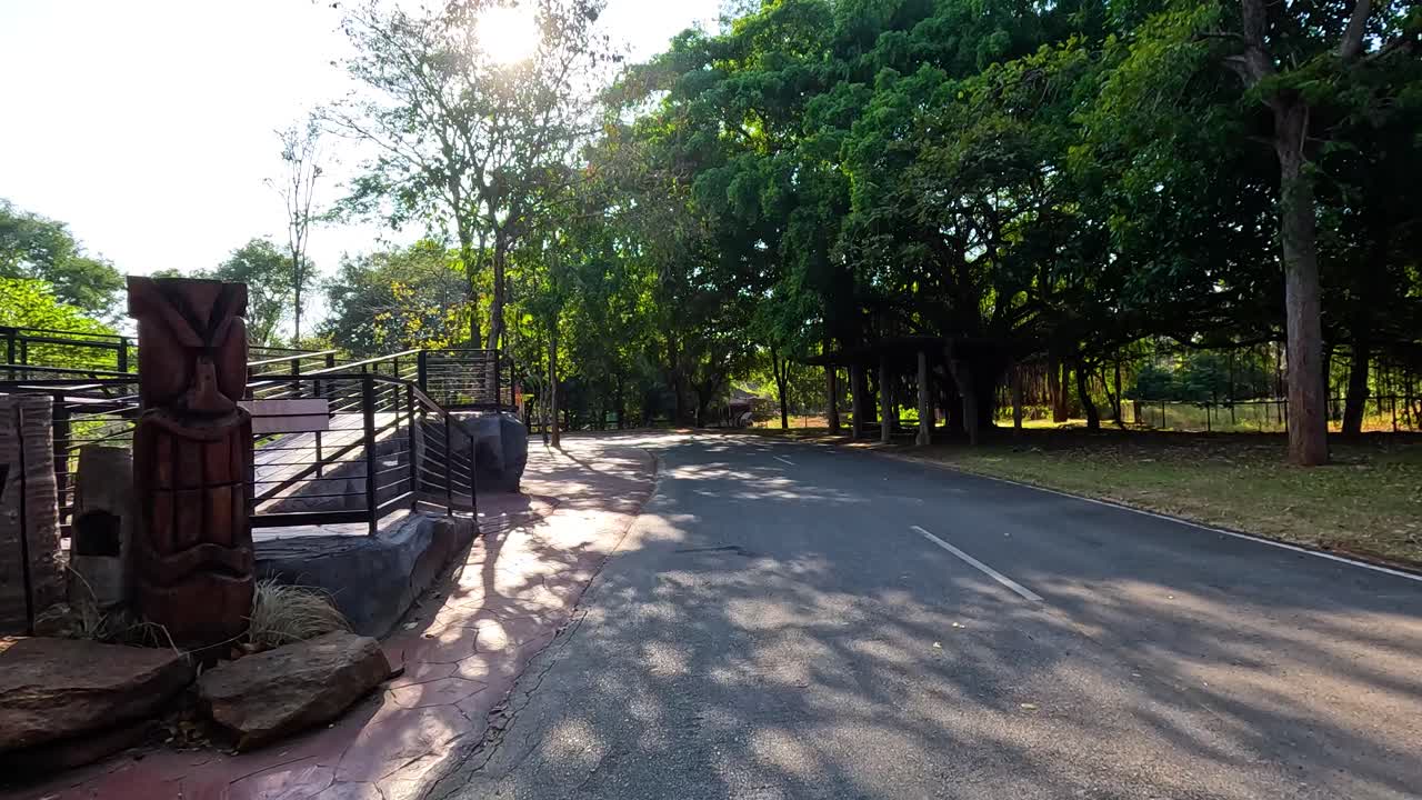 빛 이 있는 동물원 공원 길