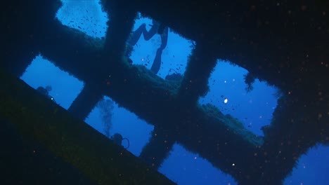 scuba divers swimming over ship wreck filmed underwater from inside sunken shipwreck