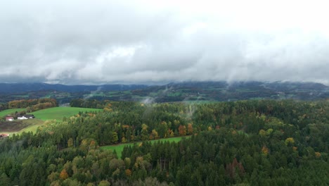 Bosque-De-Otoño-Con-Niebla-Temprano-En-La-Mañana---Panorámica-Aérea