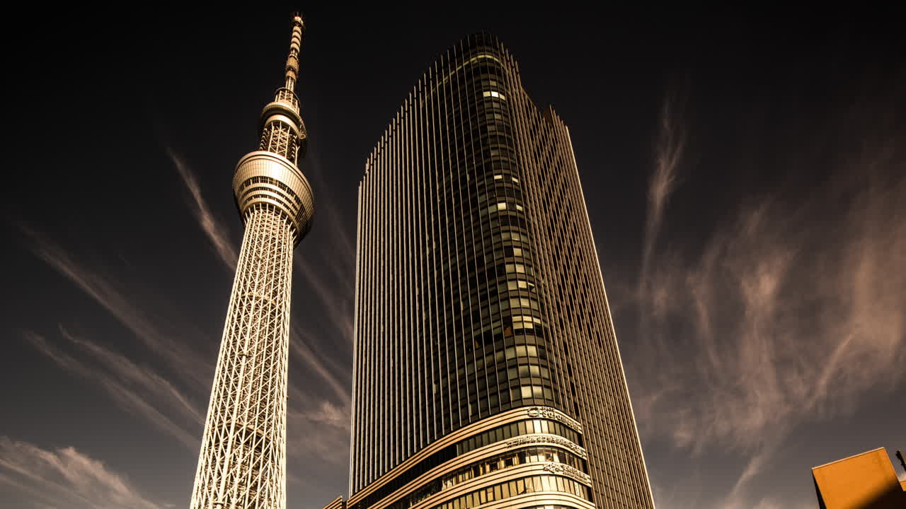 día del árbol del cielo 03