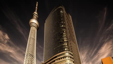 sky tree day 03