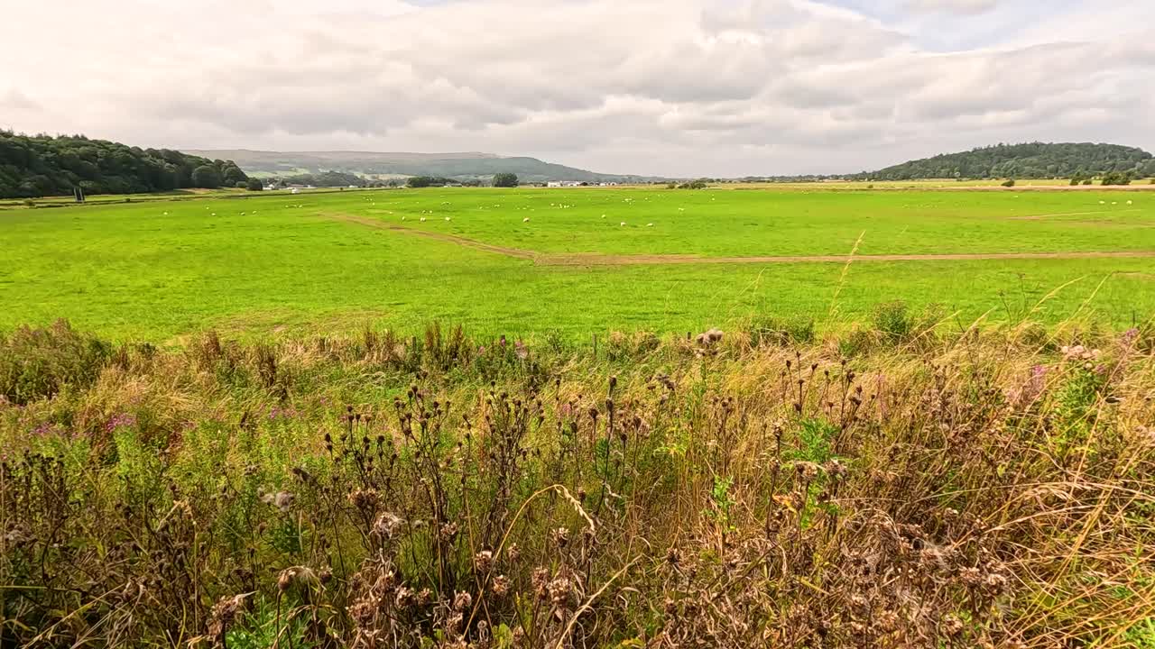 먼 언덕과 구름이 가득한 초록색