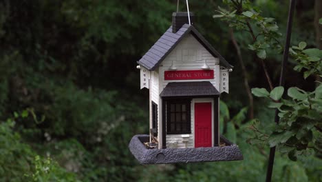 Desolated-bird-house-feeder-swinging-in-tree,-green-background-at-dawn