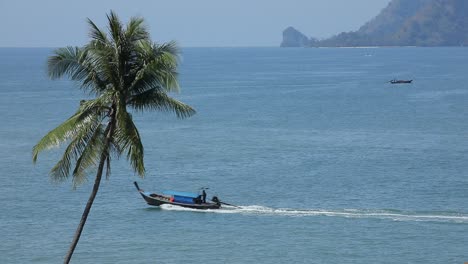 longtail boat in krabi, thailand passes by a palm tree at ao nang beach with island sin the backround