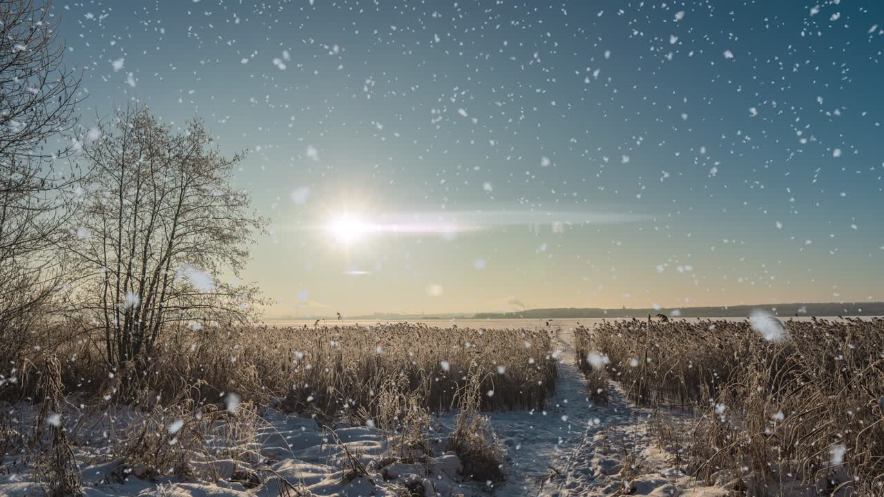 una animación de escena de invierno con coches conduciendo lentamente por una carretera cubierta de nieve y hojas cayendo suavemente de los árboles. bucle de video