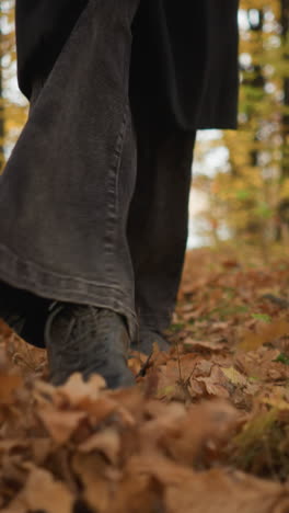 vista de la pierna de una persona con zapatos de lona, vaqueros y largo abrigo negro caminando por un pintoresco camino de otoño cubierto de follaje seco, rodeado de árboles altos con hojas doradas en un entorno natural pacífico