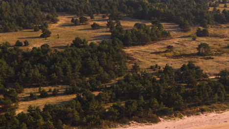 the grey dune of pavilosta, a nature reserve on the baltic sea coast of latvia.