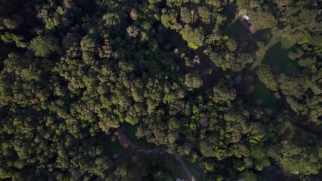 Drone-bird's-eye-truck-left-across-Northern-California-forest