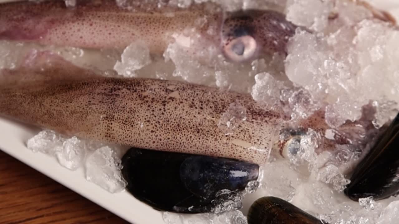 Fresh Squid and Mussels Chilled on Ice