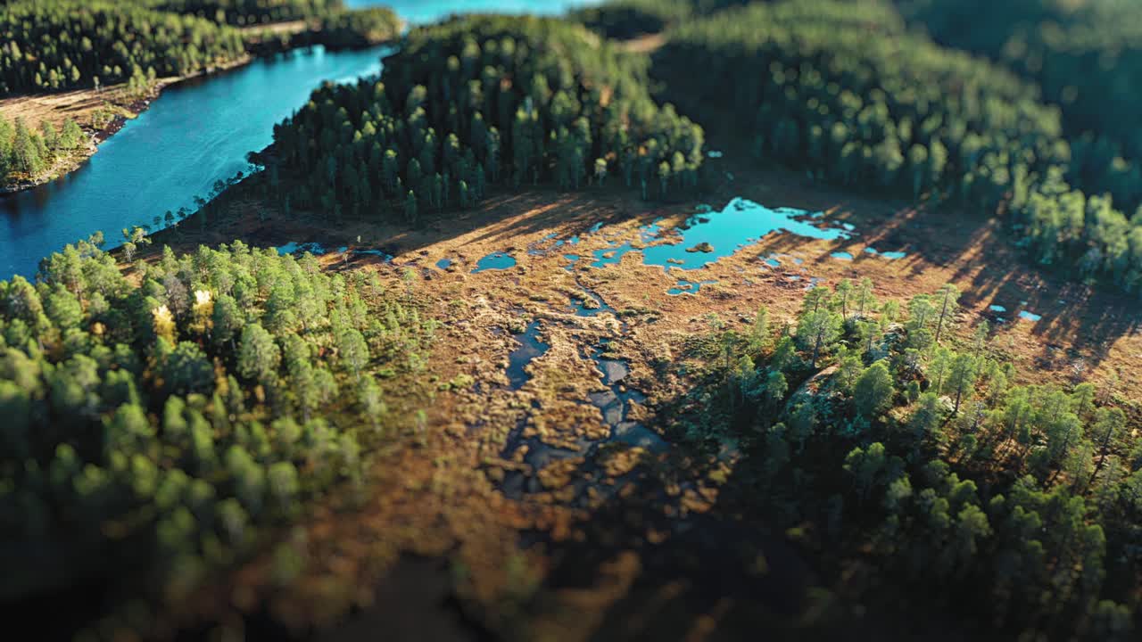 Aerial view of a serene autumn forest and marshland, with scattered pools of water reflecting the clear sky