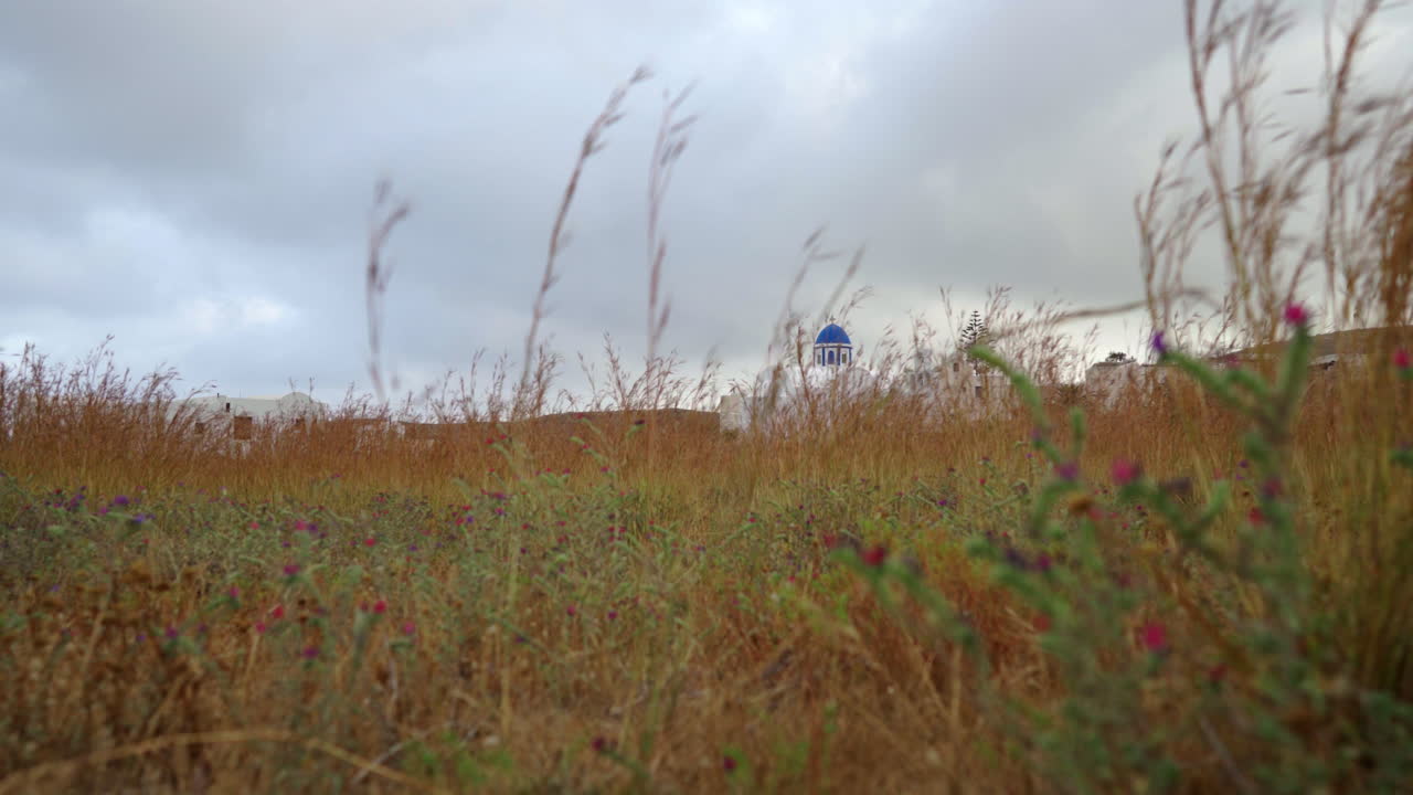 마른 풀 사이로 흰 교회를 향해 걸어가다