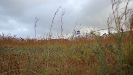 Walking-towards-a-white-church-among-dry-grasses