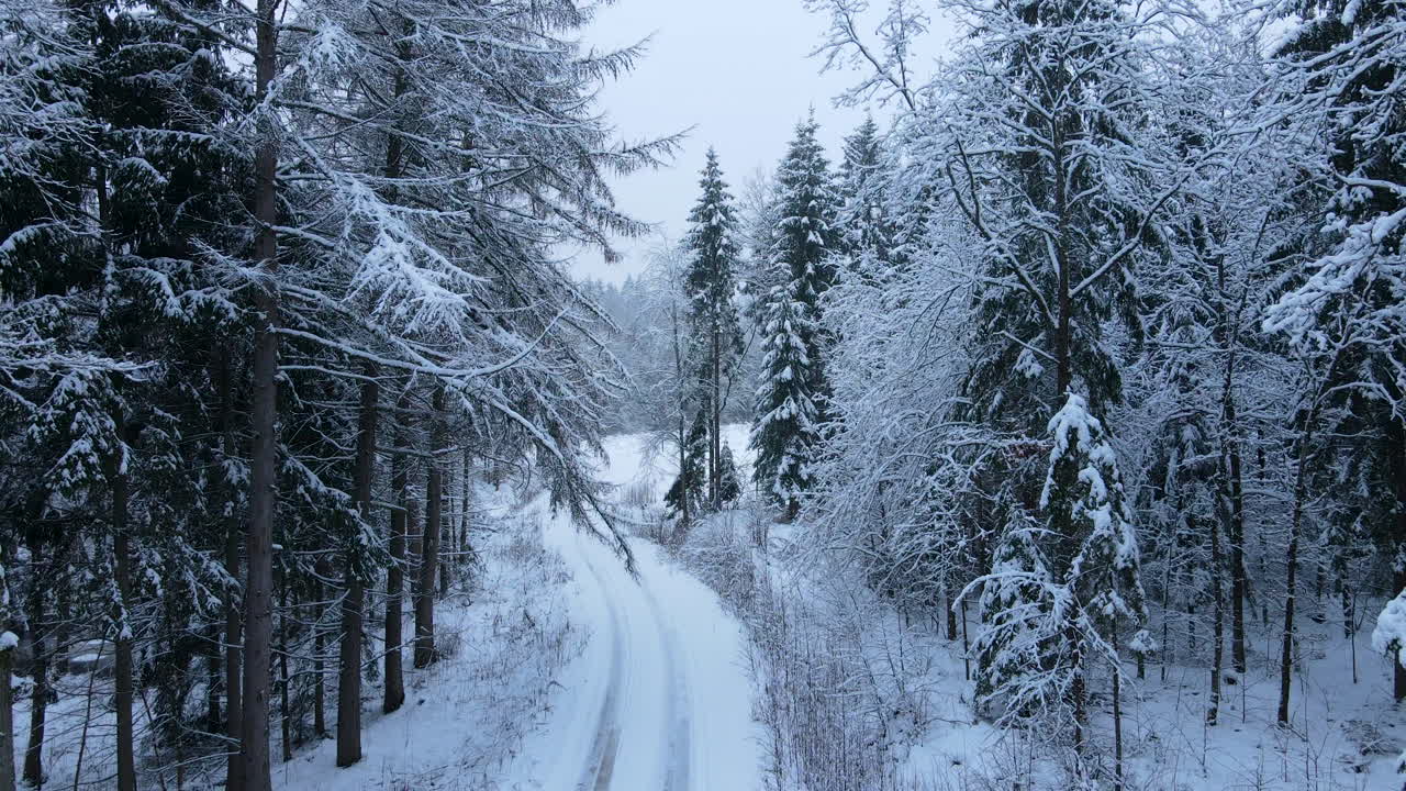 Vej og træer dækket af tyk sne i vinterperioden i Deby, Polen