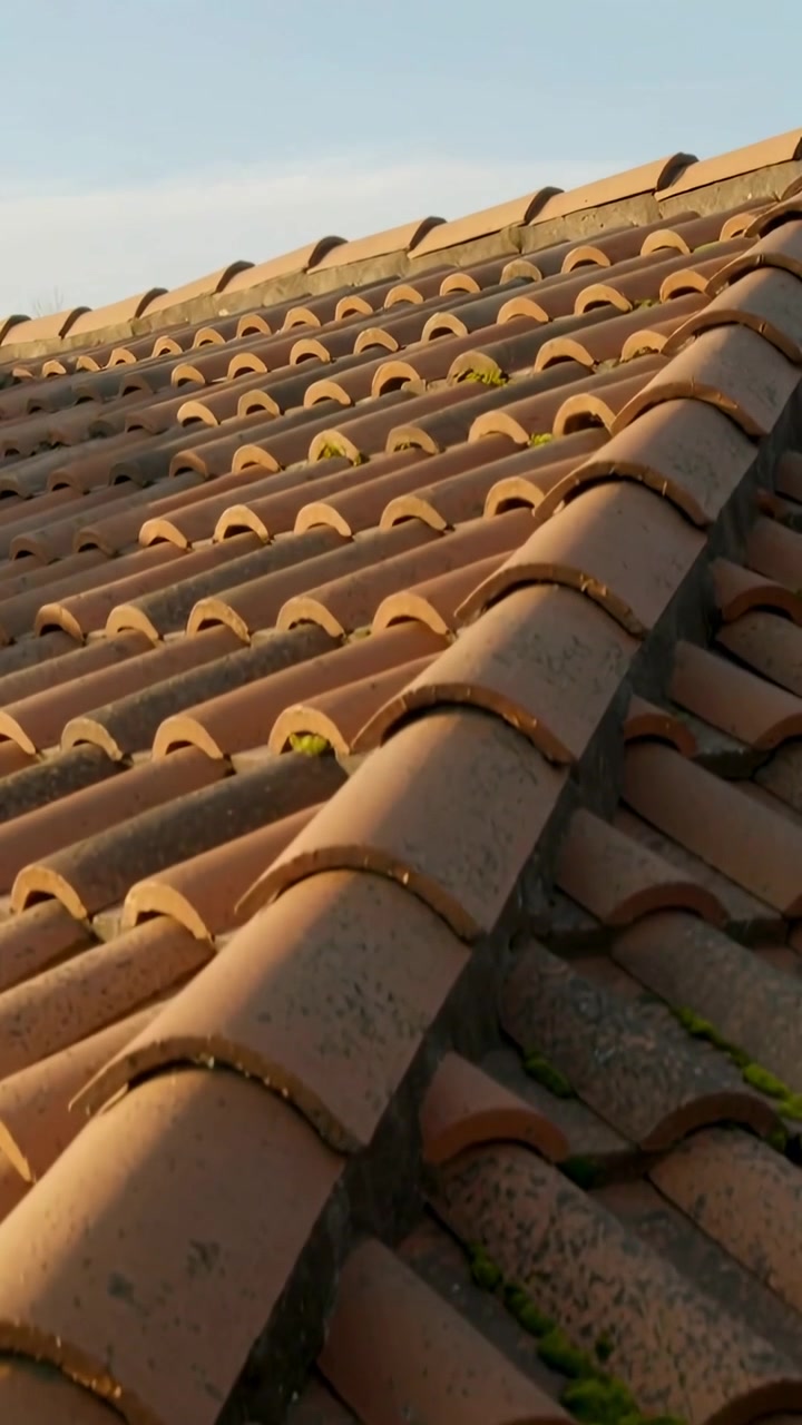Video verticale: Telecamera che si inclina rivelando tegole in terracotta sul tetto con muschio verde, che mostra l'età.