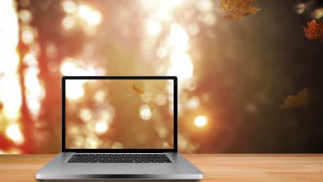 hojas de otoño cayendo contra la computadora portátil 4k