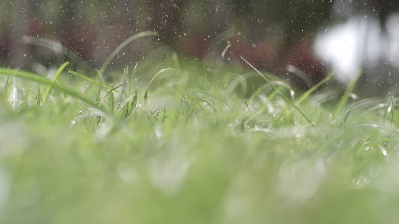 Golf club hits a white golf ball in a super slow motion. Drops of morning dew and grass particles rise into the air after the impact. Shot on super slow motion camera 1000 fps.