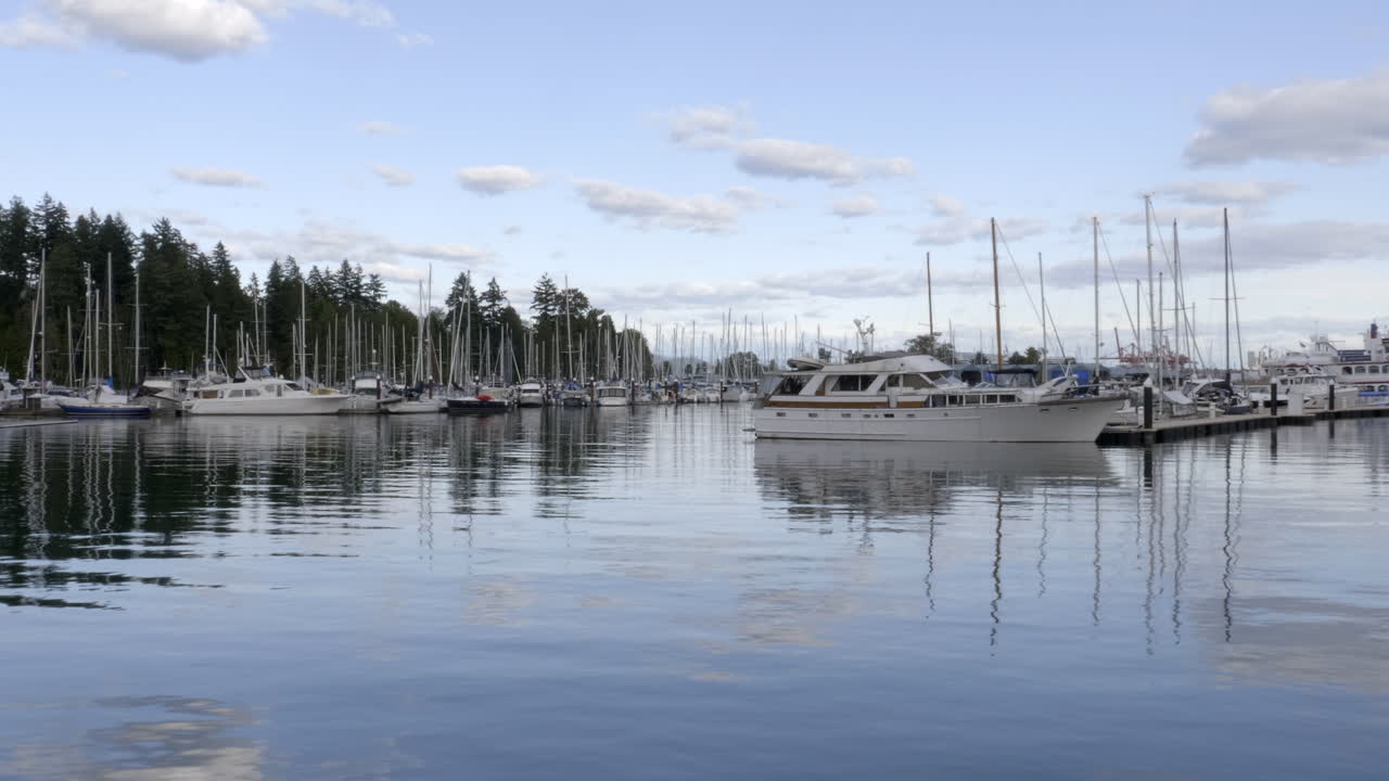 A Peaceful, Fine Sunny Day In Stanley Park With An Attraction Of It's Port And Yachts - Medium Shot