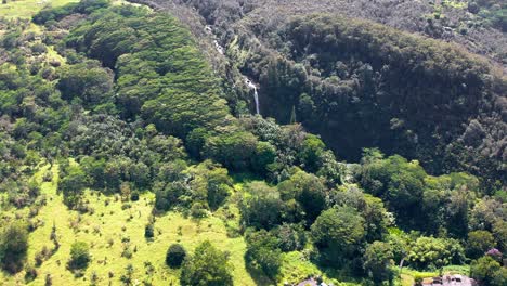 wide aerial perspective of akaka falls in hawaii, where a tall waterfall flows from a cliff into a deep rainforest gorge, surrounded by vibrant green vegetation