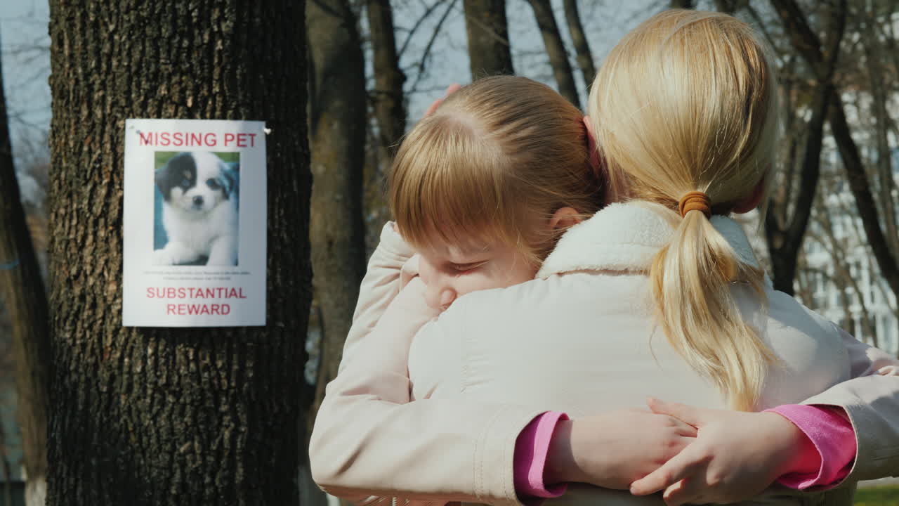 엄마는 나무에서 개를 잃은 소녀를 달래다 실종된 강아지에 대한 발표를 걸다