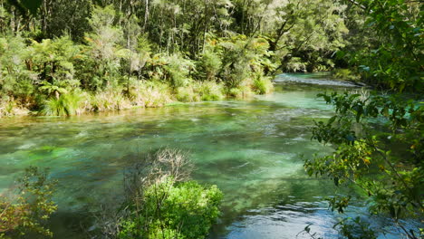 Toma-Panorámica-Que-Muestra-Un-Río-Tropical-Que-Fluye-Lentamente-Rodeado-De-Jungla-Verde-A-La-Luz-Del-Sol---Río-Tarawere-En-Nz