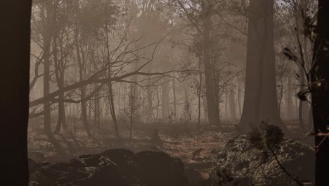 Ein-Fuchs,-Der-Im-Herbst-Untätig-In-Einem-Dichten-Wald-Steht,-Mit-überall-Gefallenen-Blättern-Und-Nebel-Im-Hintergrund,-3D-Animation,-Animierte-Szene,-Statische-Kamera