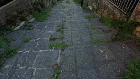 a quiet walk through a narrow alley