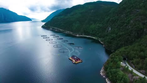 aerial footage farm salmon fishing in norway