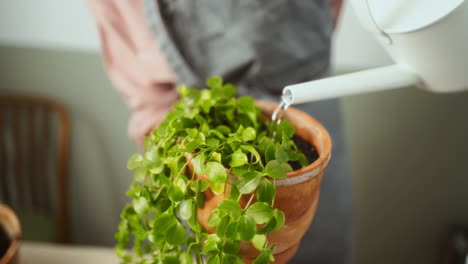 anonymous woman watering potted plant