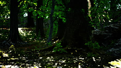 large and long tree roots with moss