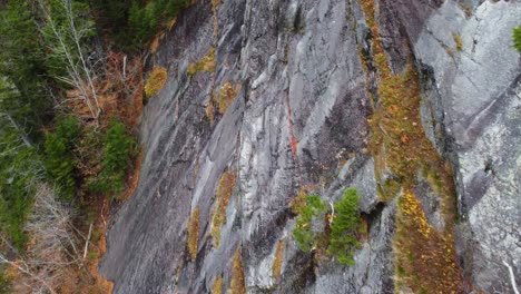 Autumn-landscapes,-rock-texture-with-moss-on-a-cliff-in-Mount-Washington,-New-Hampshire,-USA