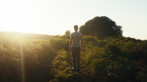 caminando en un campo al atardecer