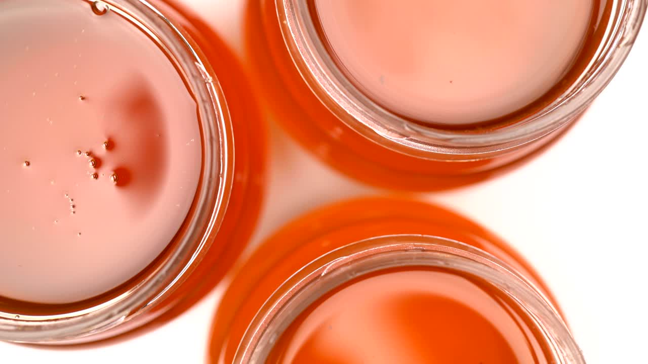 을 가진 유기농 컨테이너가 색으로 회전하는 장면