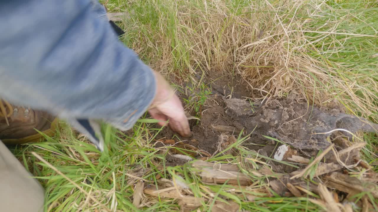호주 남부의 농지에 나무를 심는 남자의 손을 클로즈업 샷