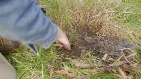 A-close-up-shot-of-a-mans-hands-planting-a-tree-on-farmland-in-Southern-Australia